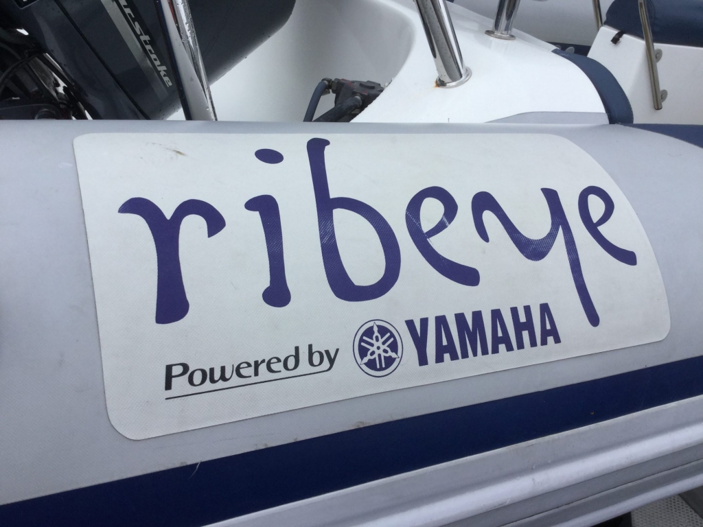 Boat Details – Ribs For Sale - Used Ribeye 785S RIB with Yamaha F250HP Engine and Trailer